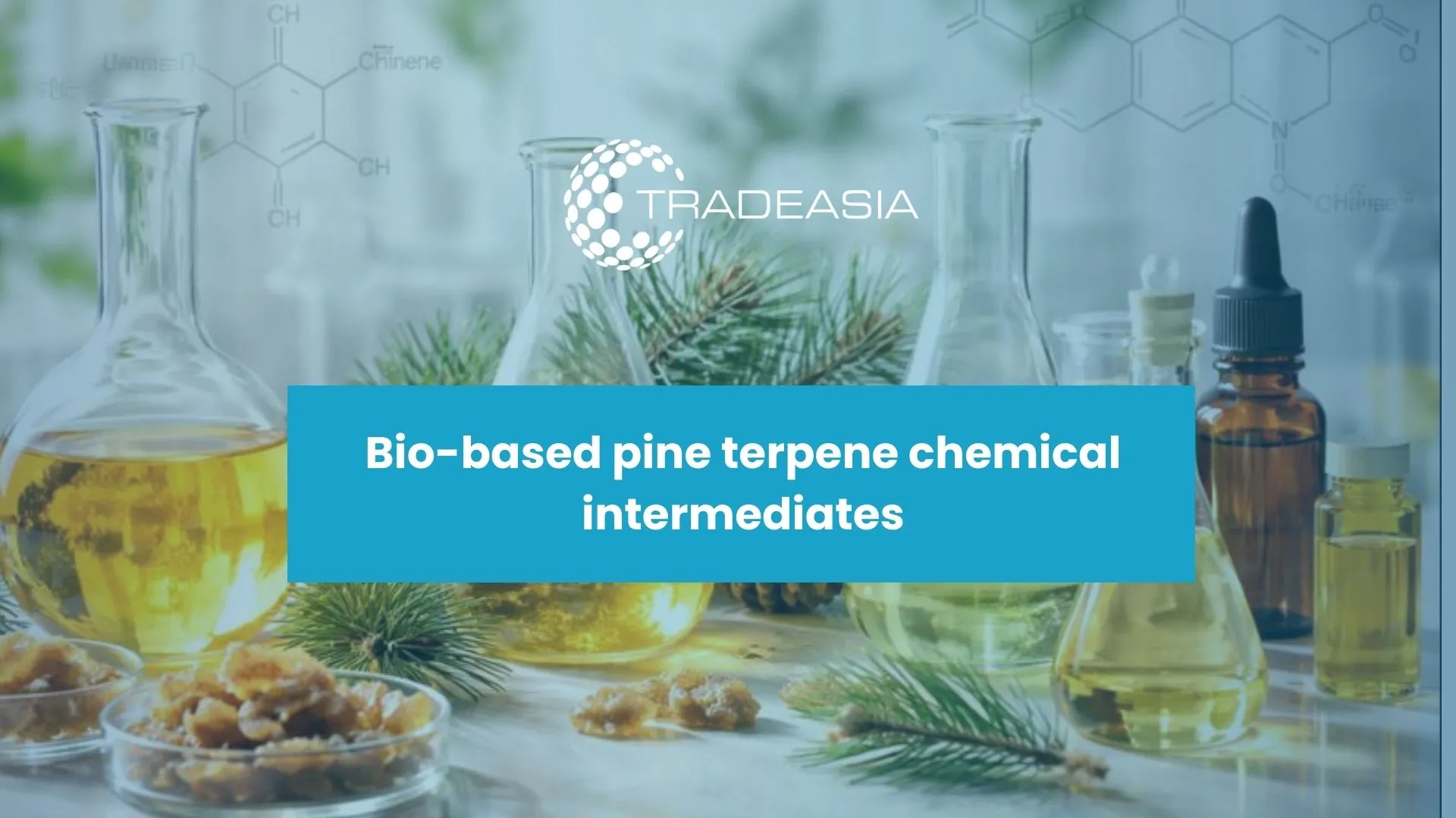 Aceite de goma de trementina: la versátil potencia química del pino de Asia