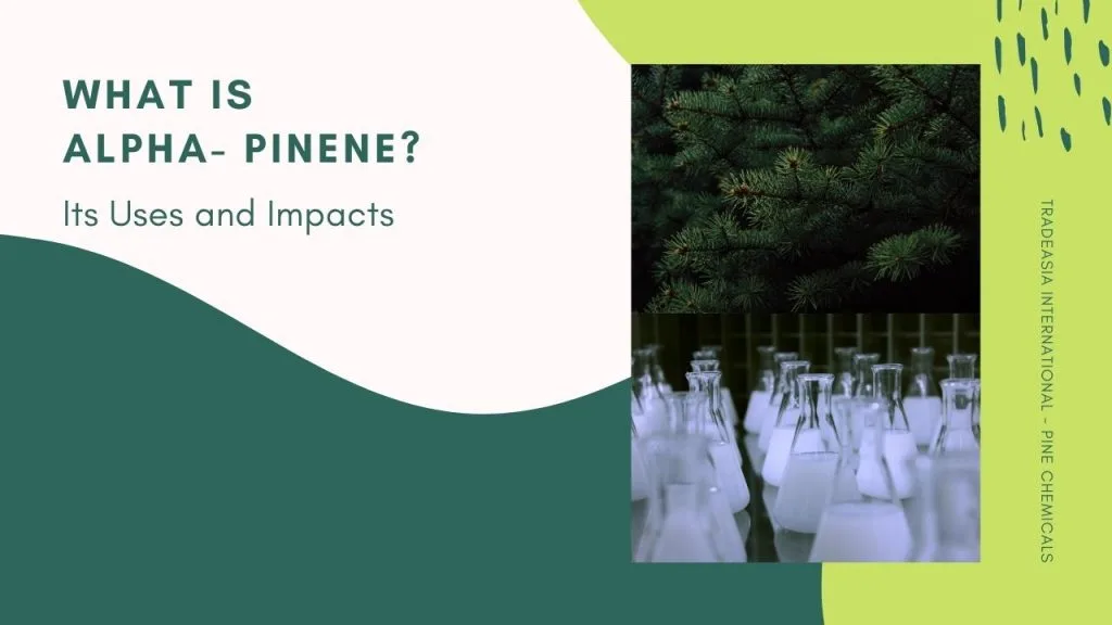 What is Alpha Pinene? Uses and Impacts