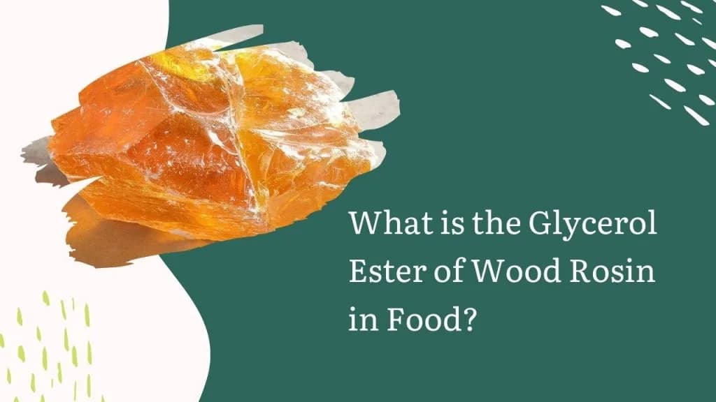 What is the Glycerol Ester of Wood Rosin in Food?