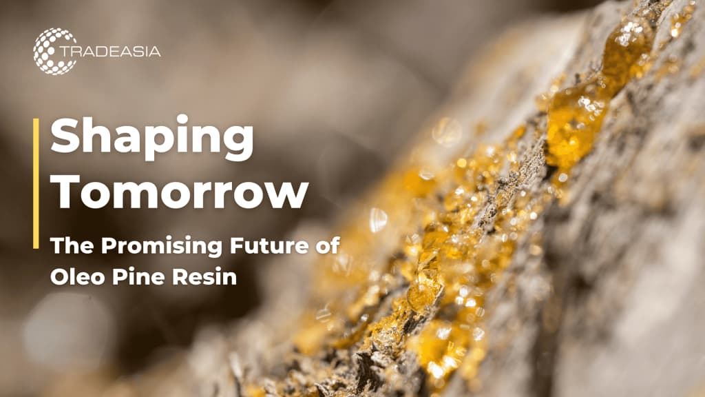 Shaping Tomorrow: The Promising Future of Oleo Pine Resin