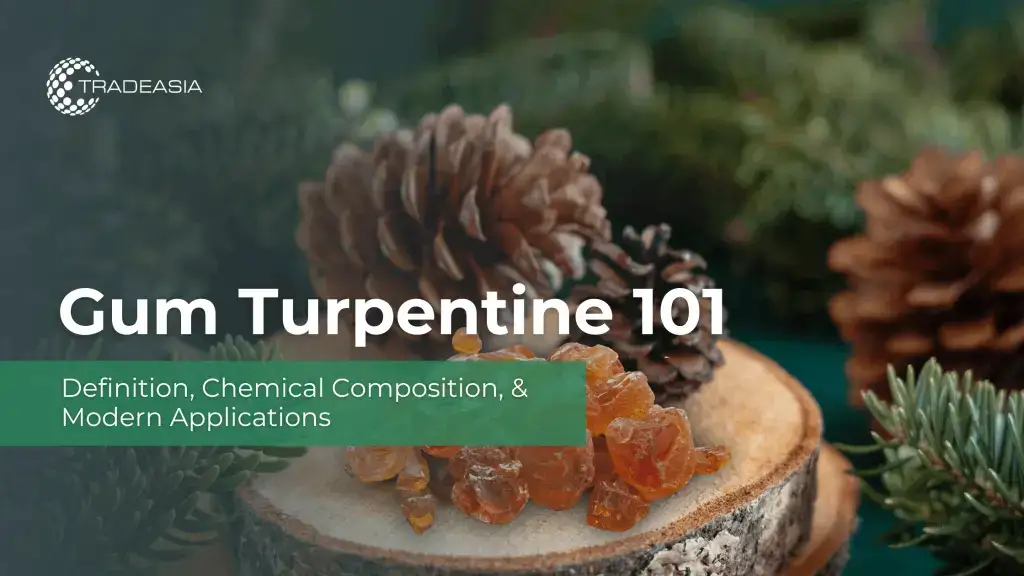 Gum Turpentine 101: Definition, Chemical Composition, and Modern Applications